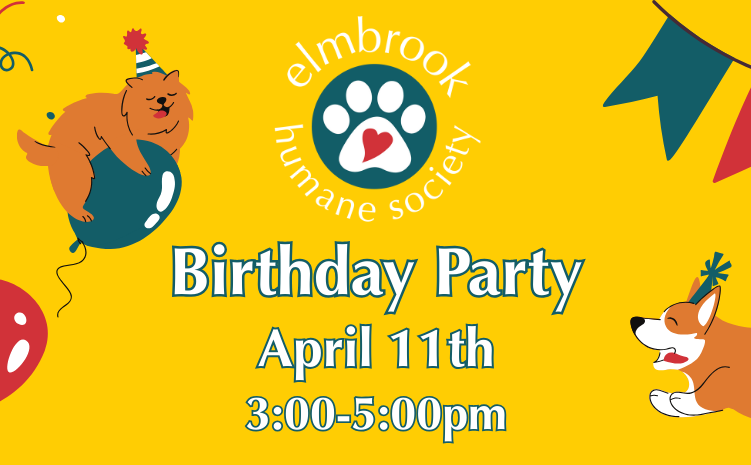 Birthday Party - April 11, 3-5pm